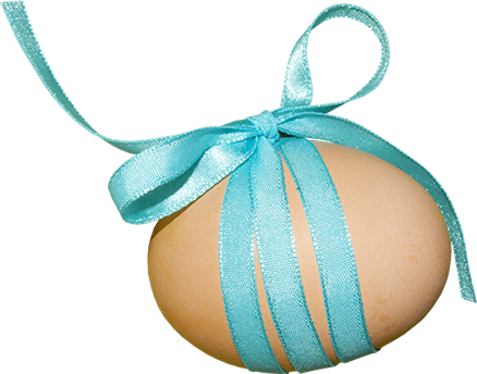 KBK_PrettyRabbit (16)