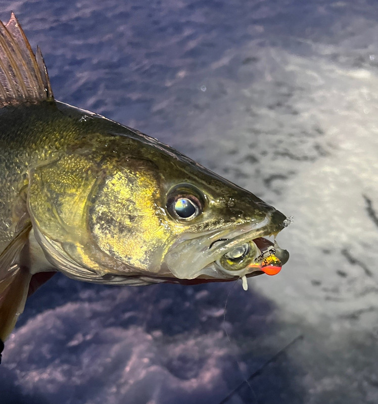 CRbaits tungsten