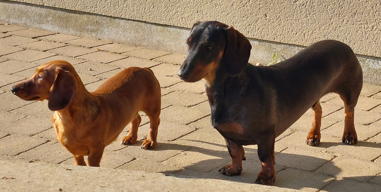 [Image: 20250708-082105.jpg]