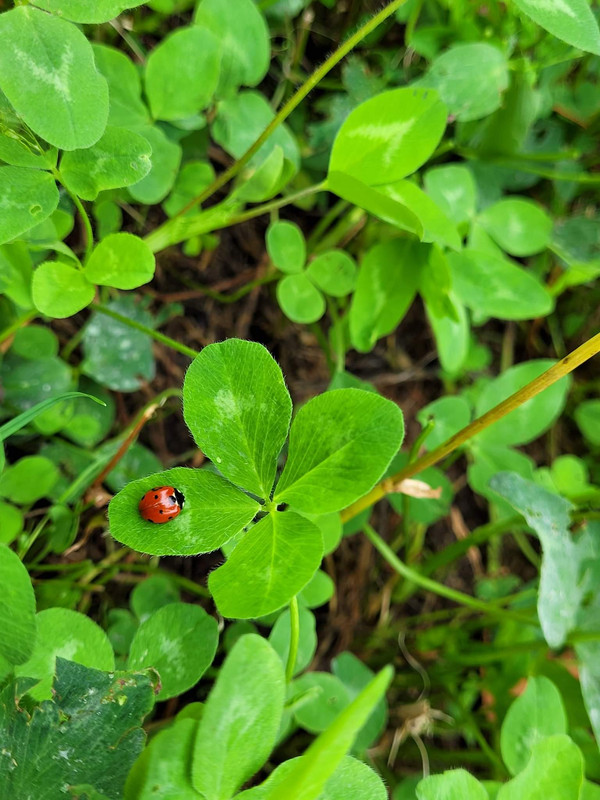 [Image: FB-IMG-1656687066088.jpg]