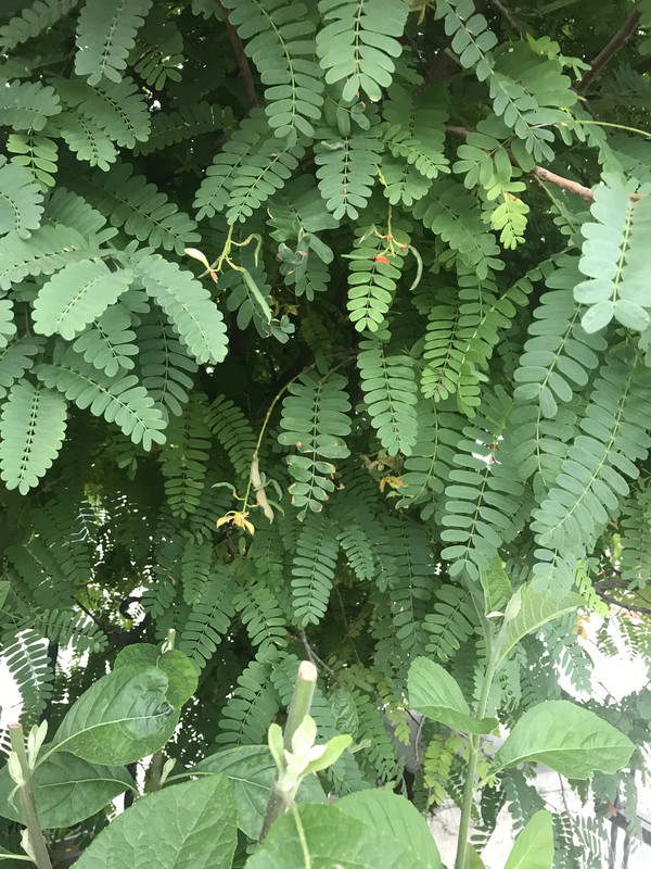 D5BE0A8D-9B4F-45ED-82A7-2BA0F16E0740