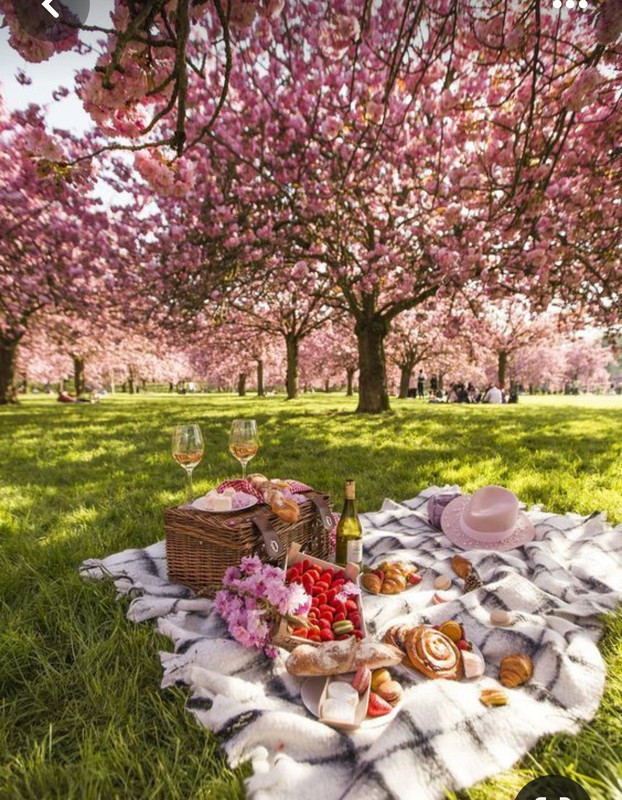 Screenshot_20240204_152702_Pinterest