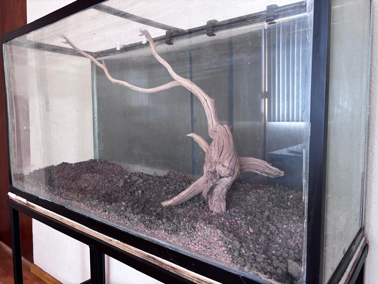 acuario-6.jpg