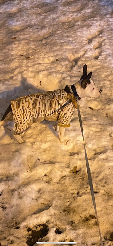 144B7E08-FBB7-431F-A2BD-9901EC8557E7