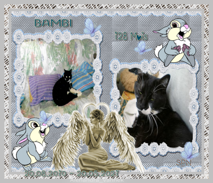 128-MOIS-BAMBI