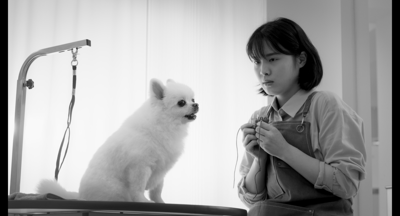 《好狗命》