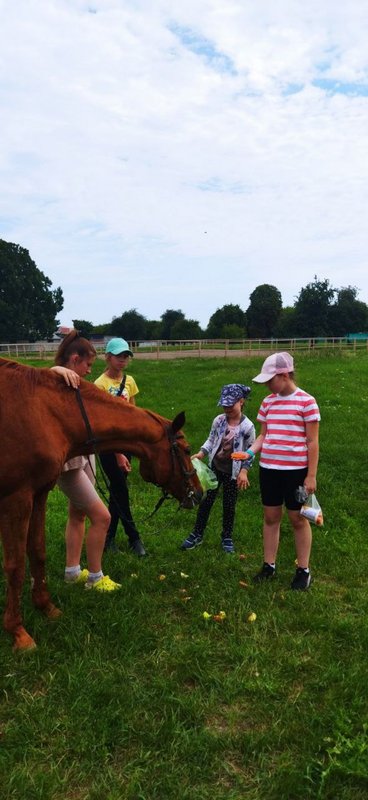 IMG-20230724-114934-114