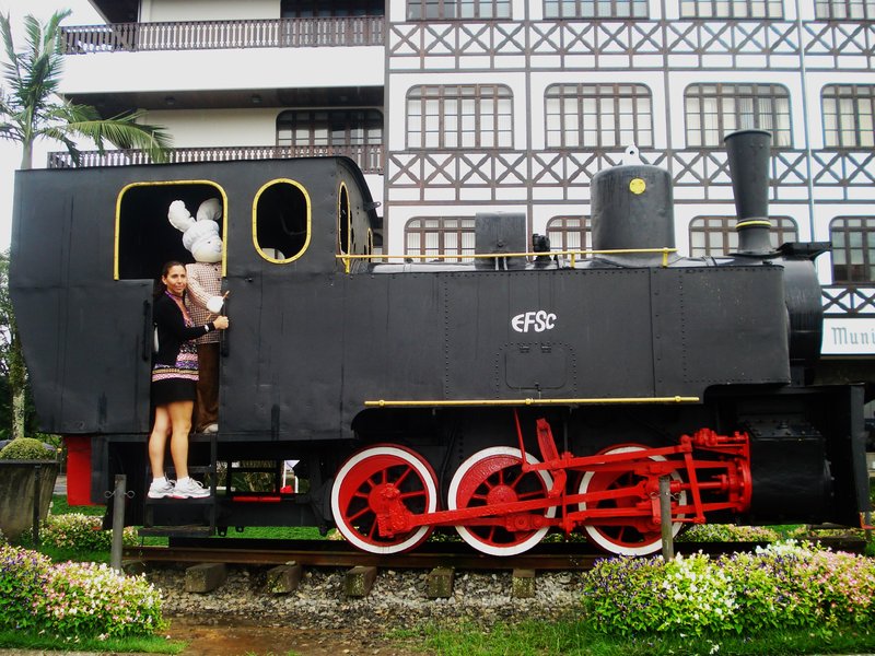 Blumenau-6-3-2010 - Brasil y sus pueblos-2010 (14)