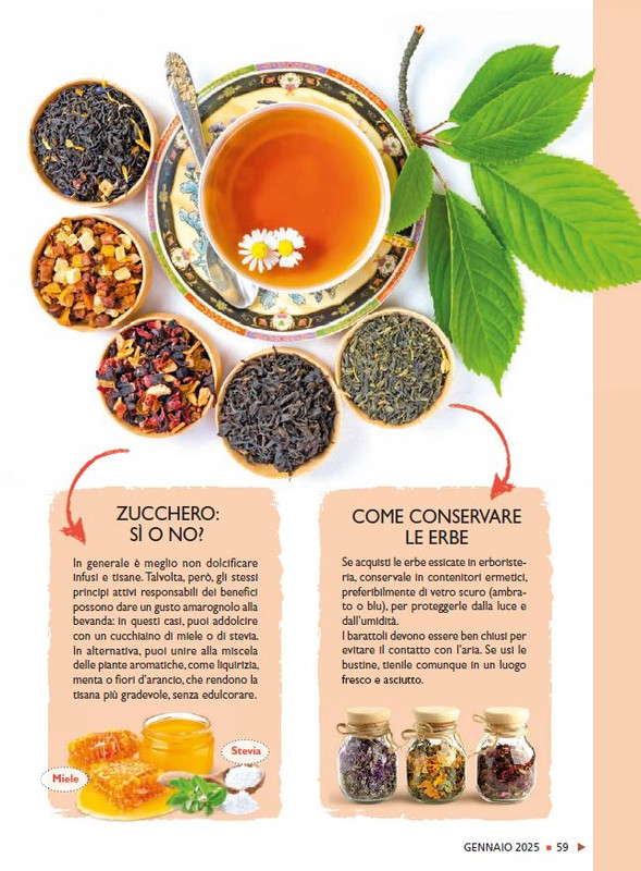 Sal Nat  Gen 2025 (10)