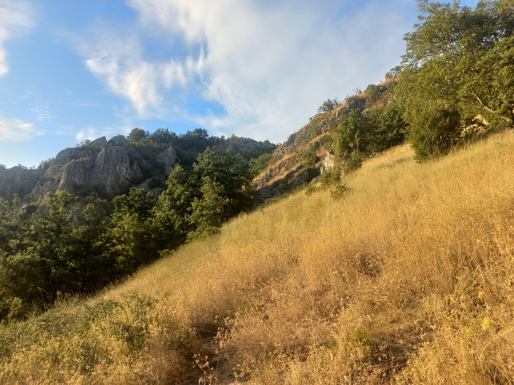 jzar6k5olskw-11.jpg