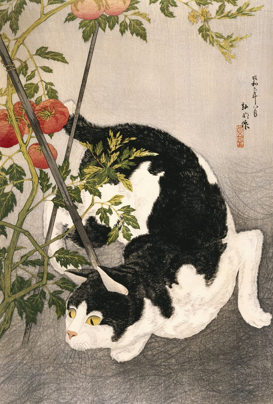 Takahashi-Hiroaki-Cat-Prowling-Around-a-Staked-Tomato-Plant-1931-woodblock-print-Meister-Druck