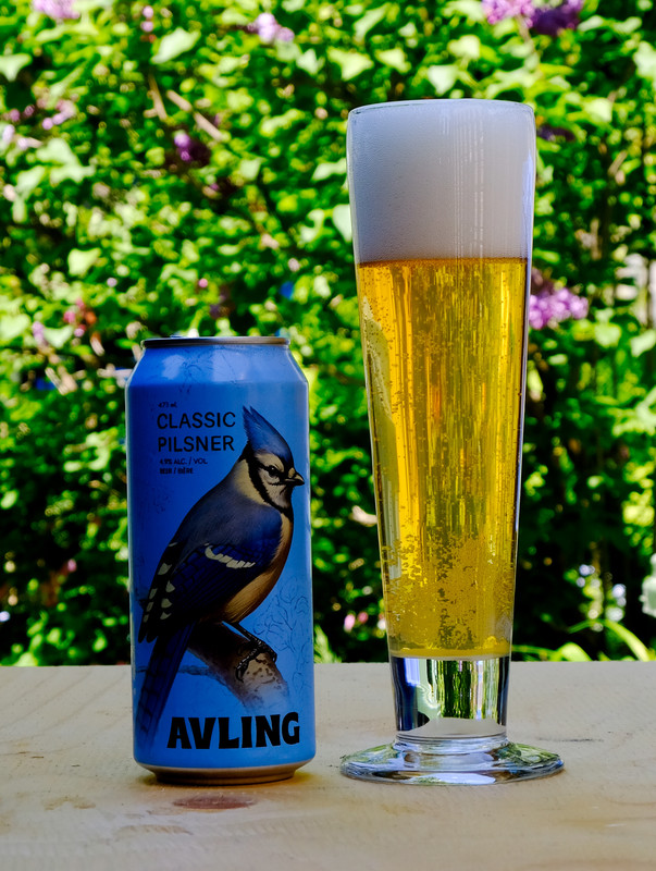 pilsner