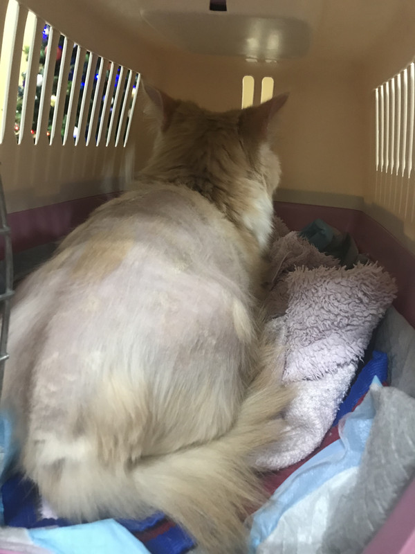 EAABEA51-28D2-40A8-9380-E42197AE8162