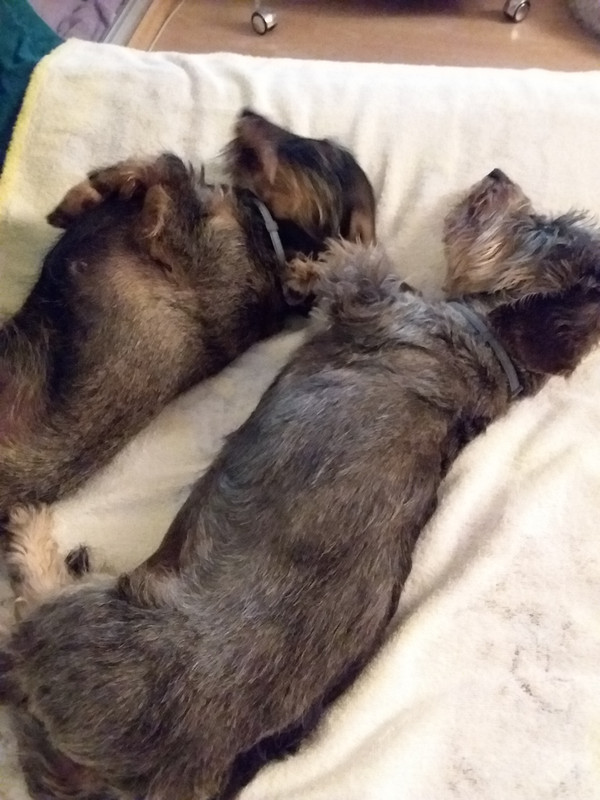 [Image: 20220626-232336.jpg]