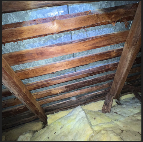 Näyttökuva 2025-03-24 182815