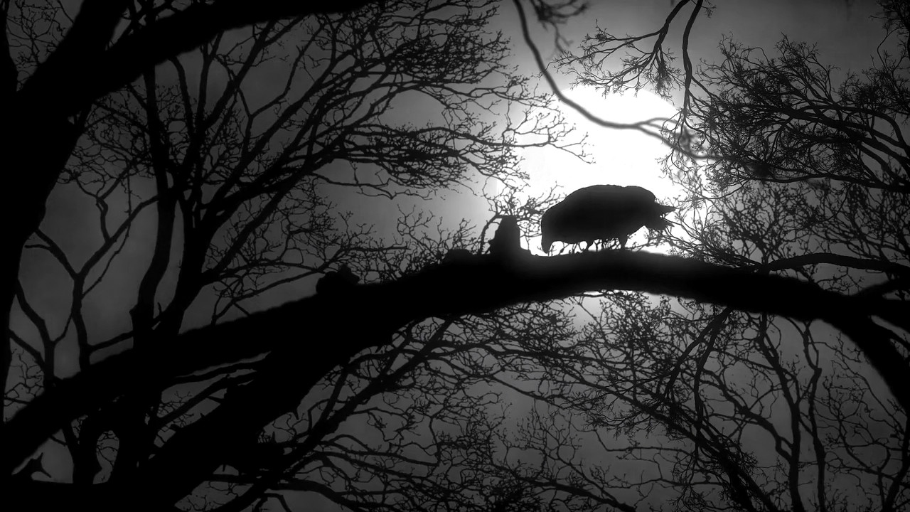 Bridgewater Triangle - Paranormal Vortex (2022) 1080p WEBRip x265 An0mal1.mkv_snapshot_00.20.27.359