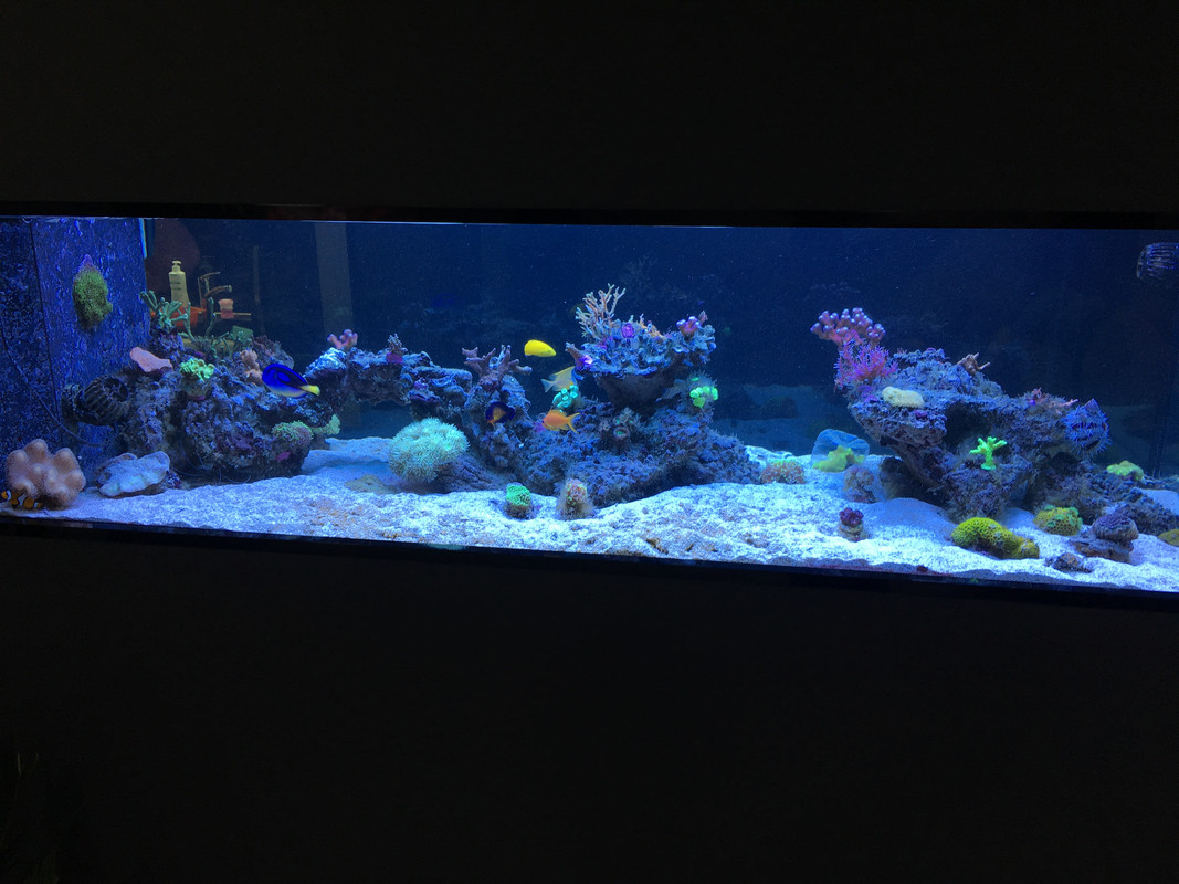 DF23246D-D28B-4B32-AA09-ABE1A43007F3