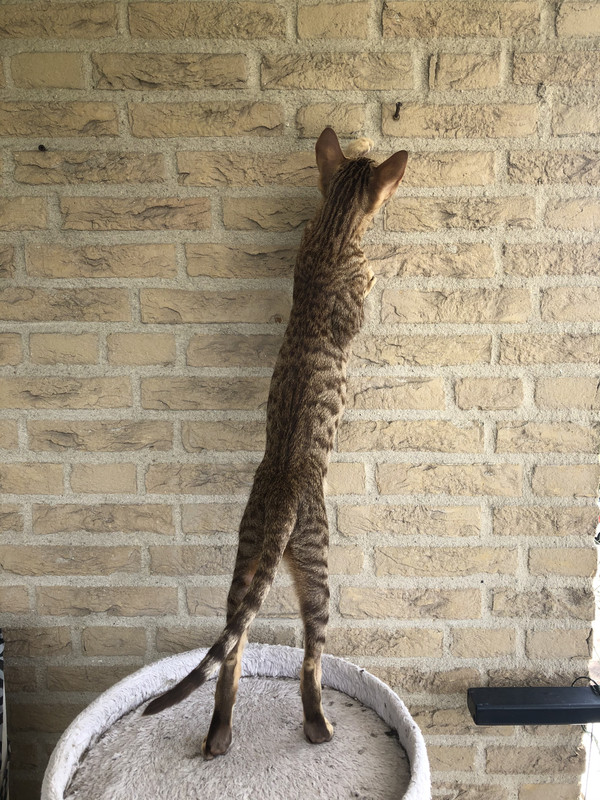 FBA89A0E-04A1-4E1A-AE1A-BB58B7F3FFD3