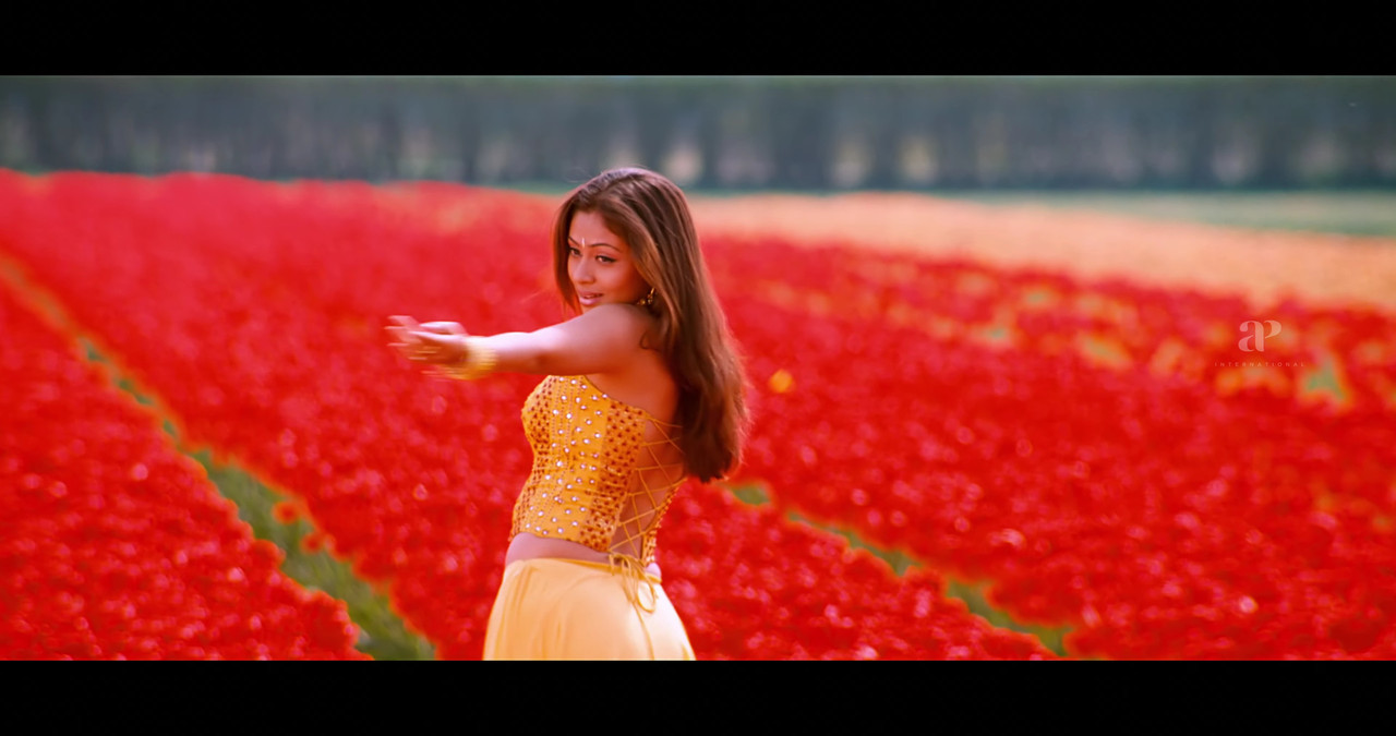 VideoCapture_20241122-200439