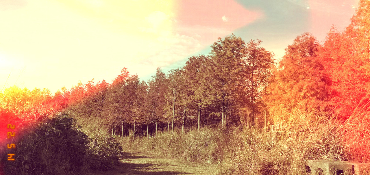 VAPORGRAM1652529466029.jpg