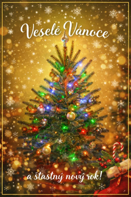 Whats App Image 2025 12 23 at 19 55 13