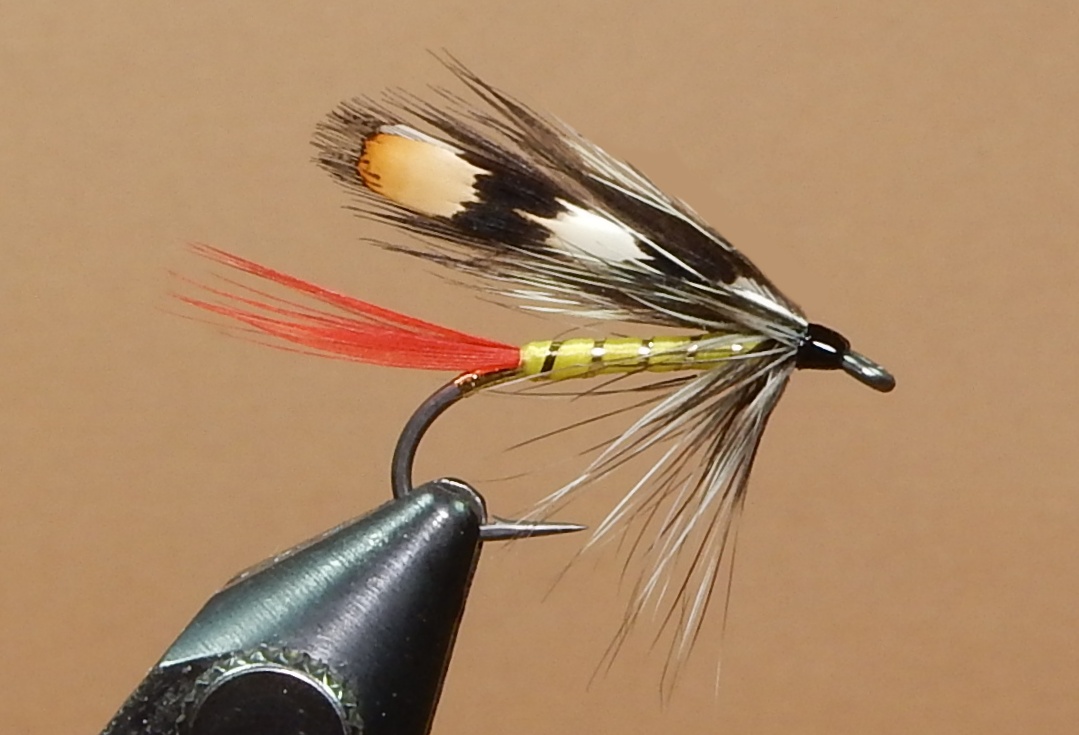 Gray-Hackle-Yellow-Body-1080.jpg
