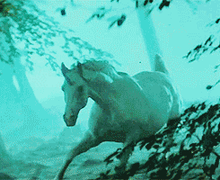 unicorn1.gif