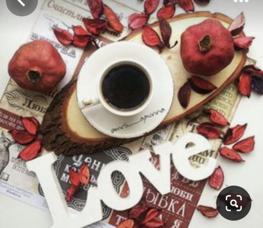 Screenshot_20240203_213823_Pinterest