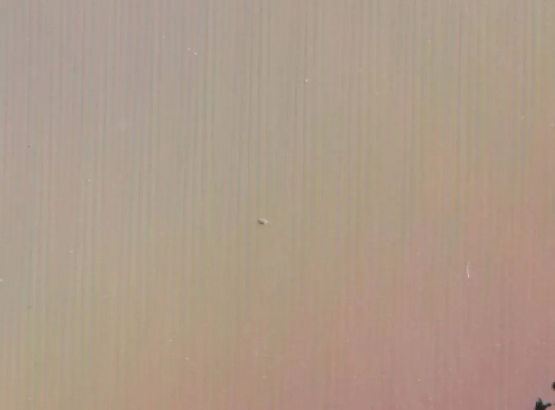 [Bild: Screenshot-20250513-201037507-1.webp]