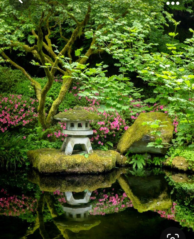 Screenshot_20231020_212107_Pinterest