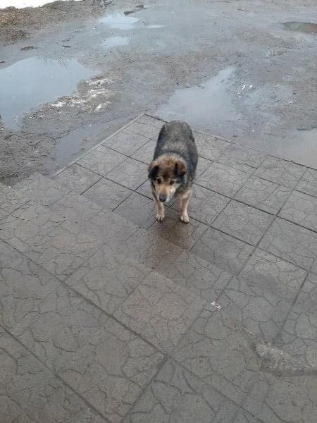 5FA21613-6752-4CF2-9F08-1530510C3E5A