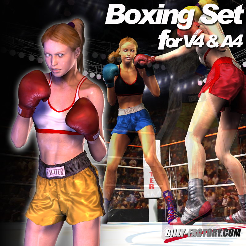 V4A4 Boxing Set