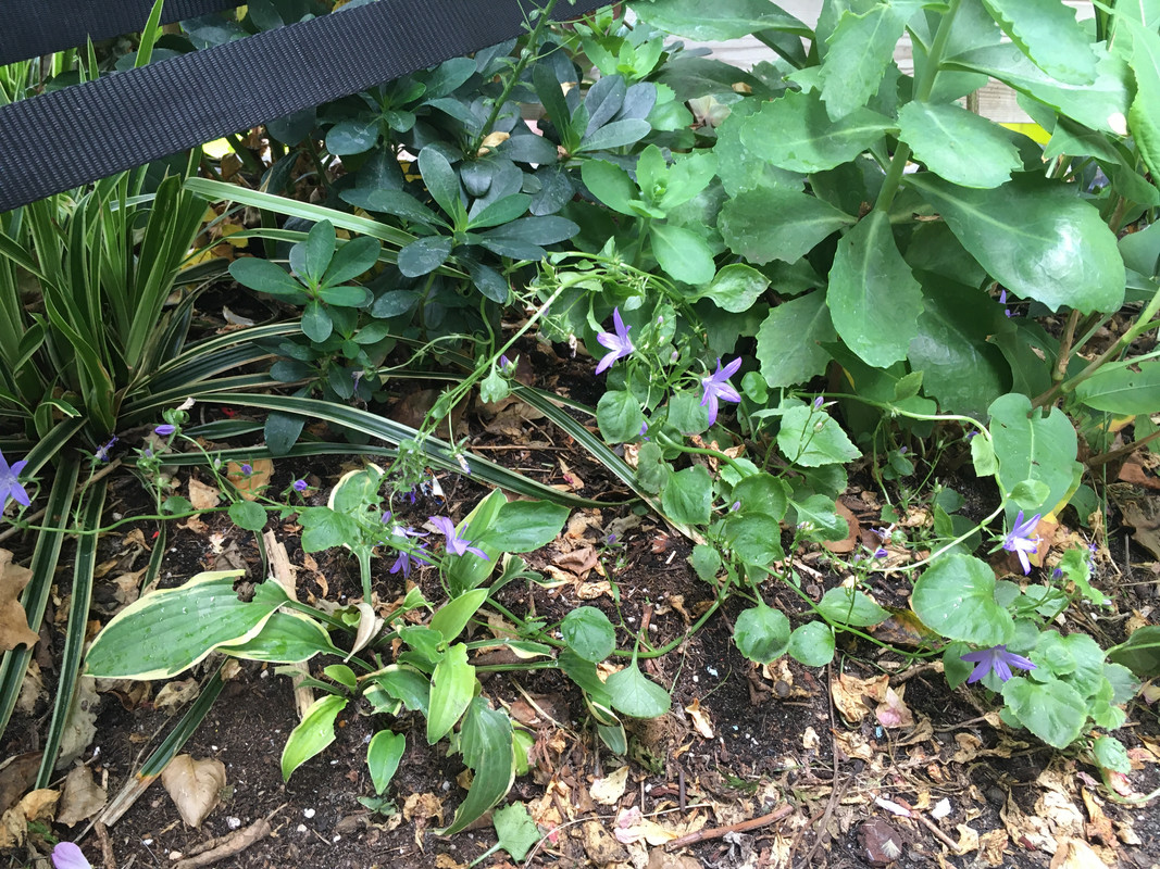 63737F44-8CD4-4277-BA0A-523A29793AA8