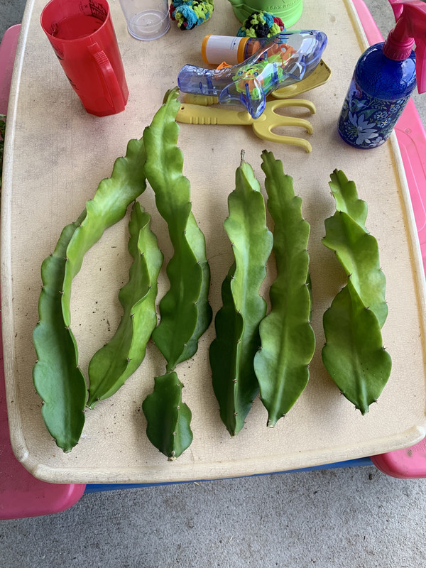 25B9BC69-6063-4610-830B-B5C1E71DACE8