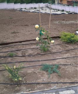 P5020132