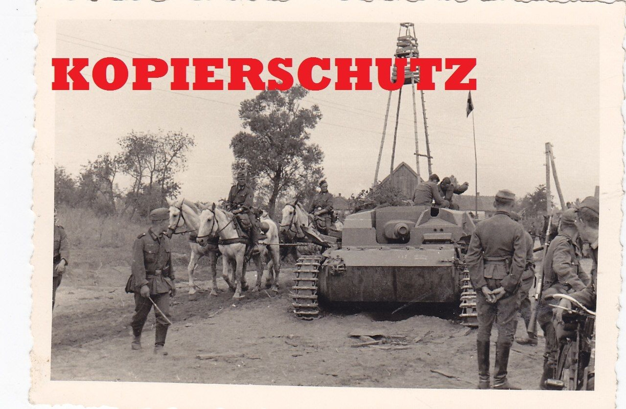 Sturmgeschütz STUG III Einsatz Front Russland co