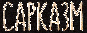 sarkazm2.png