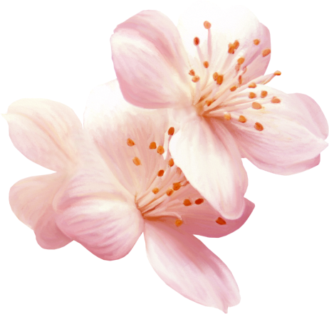 Flower3
