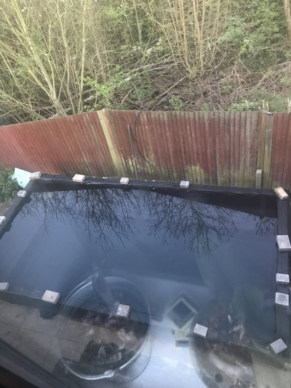 CAFB1E87-99D0-4DCF-AD51-1F656111364F