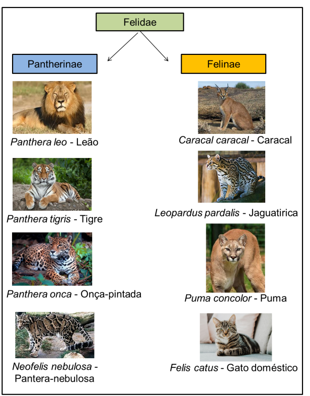 16195A59-2725-4957-BF12-BFD83D017D73