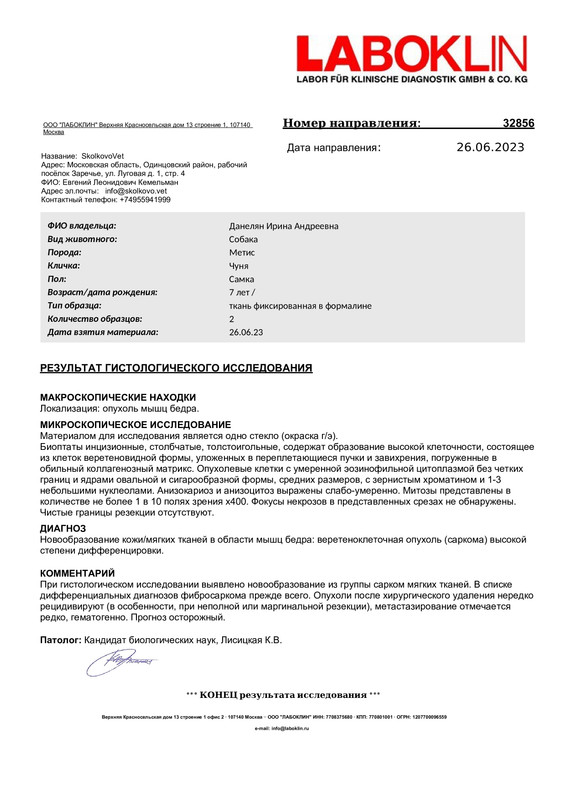 РЕЗУЛЬТАТ ГИСТОЛОГИЧЕСКОГО ИССЛЕДОВАНИЯ 32856_272_ от 11_07_2023 (pdf.io)