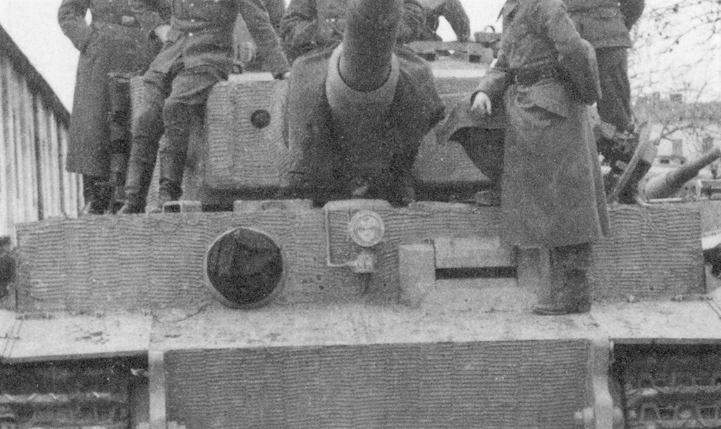 цимм борозды 1