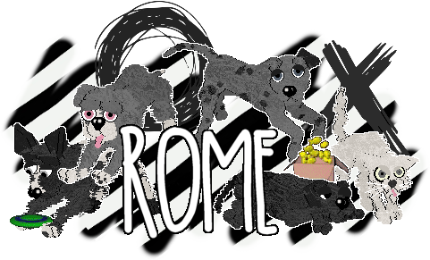 rome - petz 3+ site