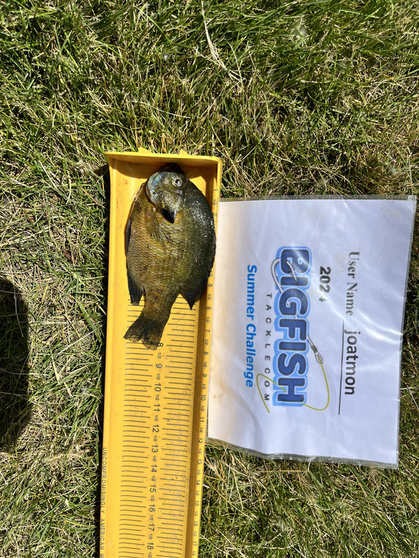 A179EE27-7C51-4427-83AB-37814C899339