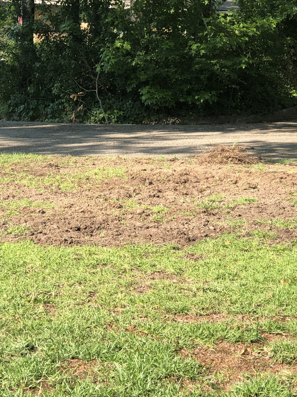 749EF889-CEE1-4111-881F-B8E5F5653F81