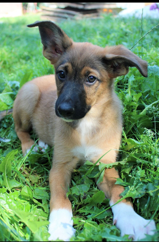 IMG-559c56088f4a2db2348aefded09ca4cc-V