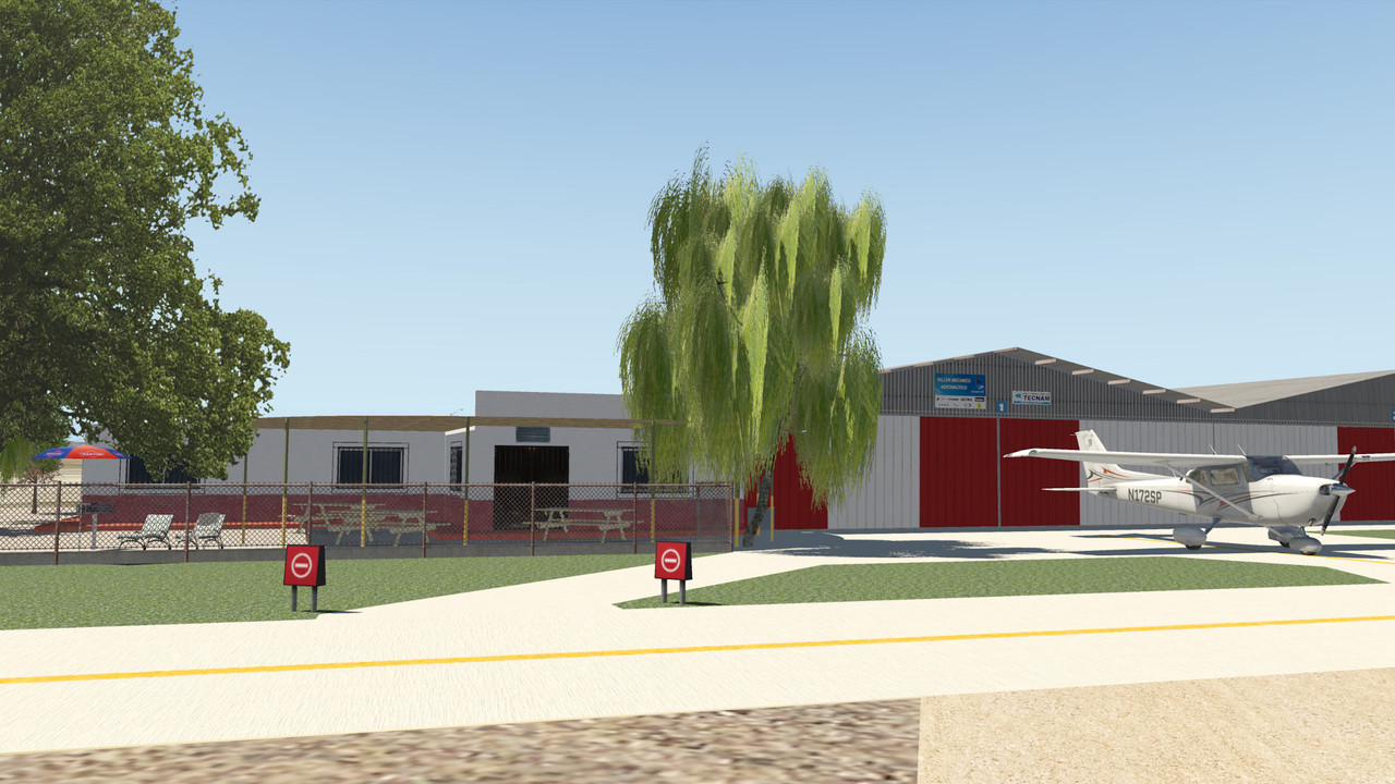 Cessna_172SP - 2020-04-09 20.39.06