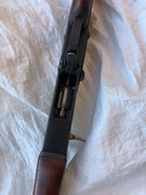 62BAF59C-A5DF-4CD1-B3B5-D85804570336