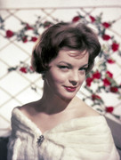romy-schneider-jw20