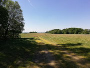 IMG-20180512-125529